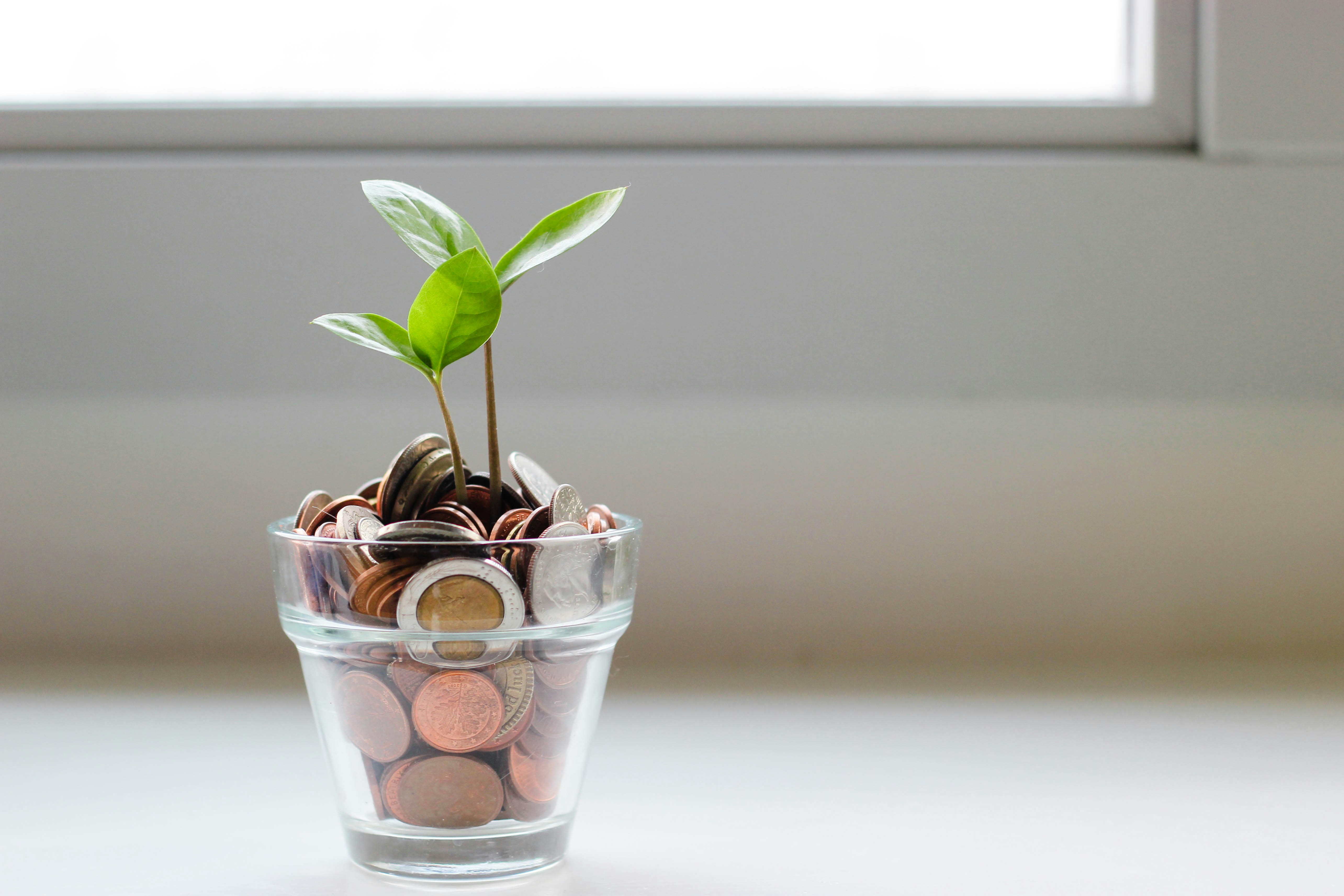 Investments